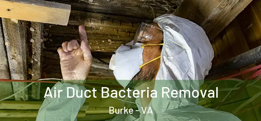Air Duct Bacteria Removal Burke - VA