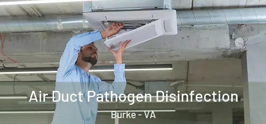 Air Duct Pathogen Disinfection Burke - VA