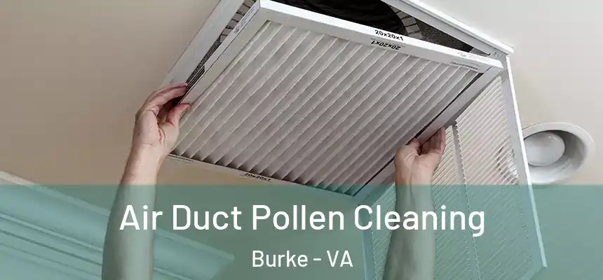  Air Duct Pollen Cleaning Burke - VA