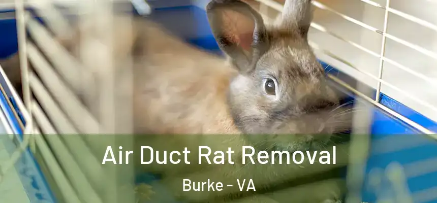 Air Duct Rat Removal Burke - VA