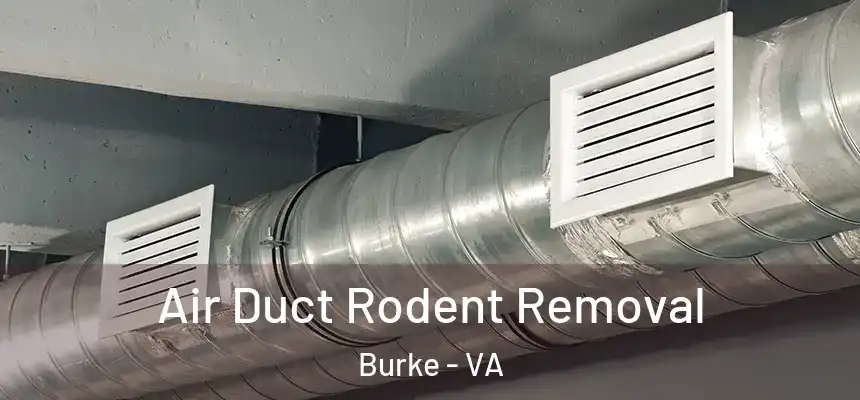 Air Duct Rodent Removal Burke - VA