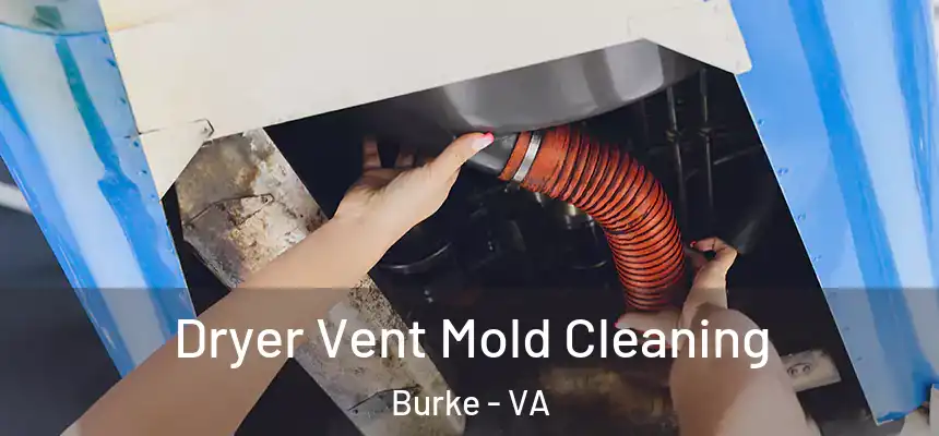  Dryer Vent Mold Cleaning Burke - VA