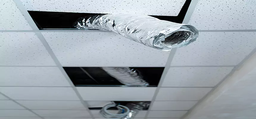 Affordable HVAC Sanitizing After Pest Removal in Burke