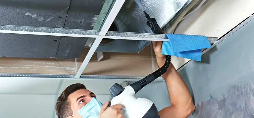 Our Air Duct Rodent Removal Services in Burke, VA
