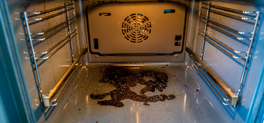 Our Dryer Vent Mold Cleaning Services in Burke, VA