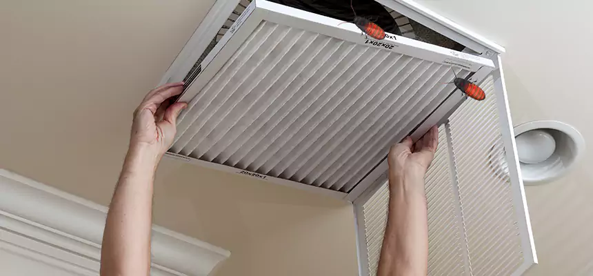 Our Insect Removal from Air Ducts Services in Burke, VA