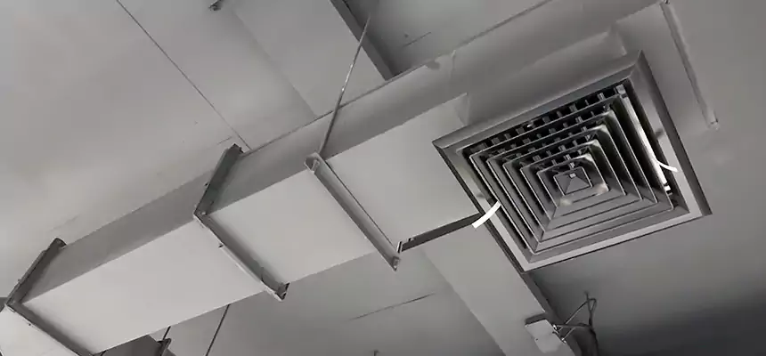 Our Rodent Droppings In Vents Services in Burke, VA