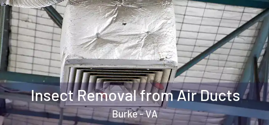 Insect Removal from Air Ducts Burke - VA