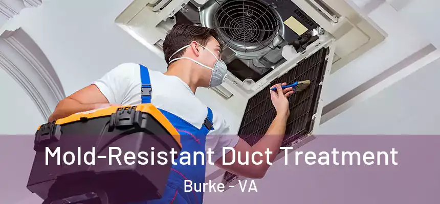  Mold-Resistant Duct Treatment Burke - VA