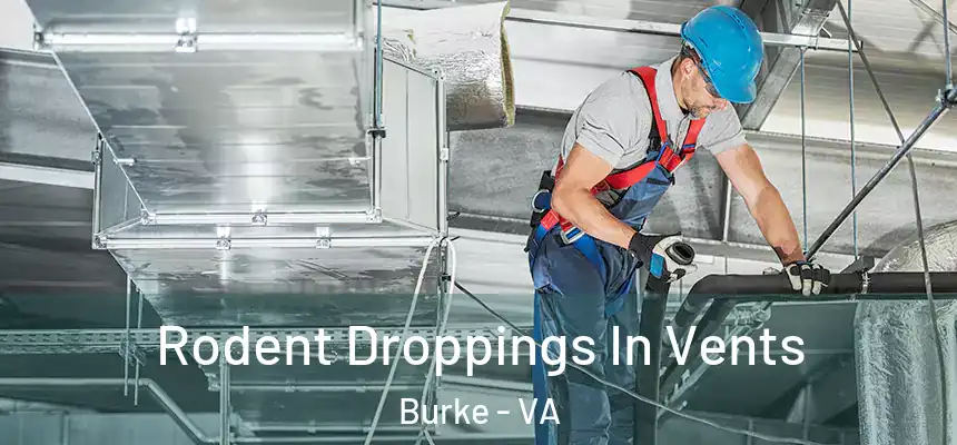  Rodent Droppings In Vents Burke - VA
