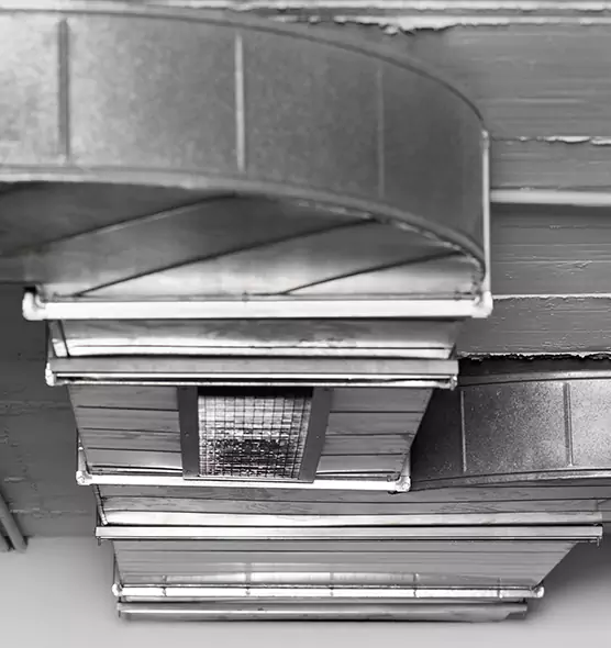 Professional Air Duct Pest Removal in Burke, VA