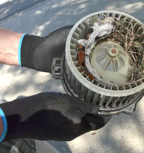 About Air Duct Rat Removal in Burke, VA