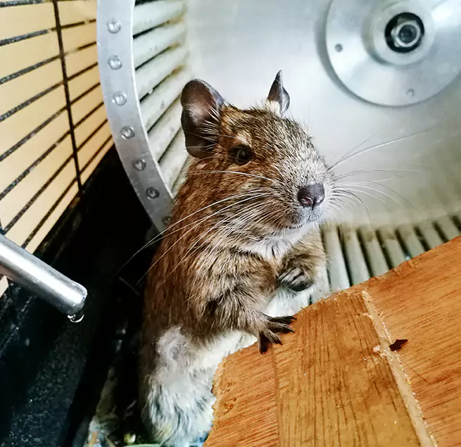 Why Homeowners & Businesses Trust Us Burke, VA