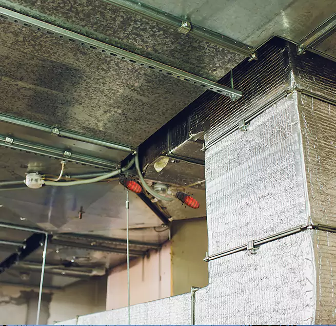 Why Homeowners & Businesses Trust Us Burke, VA?